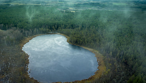 Būdragaidžio rezervatas