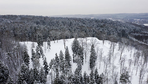 Rokantiškių piliavietė