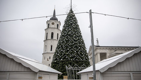 Sostinės Katedros aikštėje statoma Kalėdų eglė