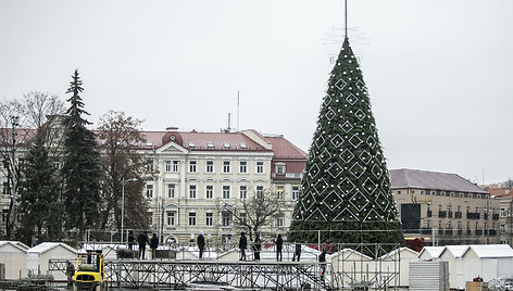 Sostinės Katedros aikštėje statoma Kalėdų eglė