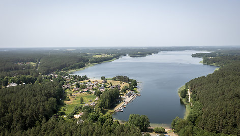 Palūšė