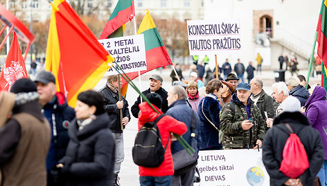 Lietuvos &scaron;eimų sąjūdžio mitingas
