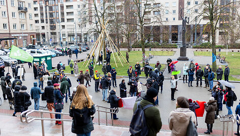 Protestas dėl mi&scaron;kų kirtimo