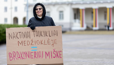 Prie prezidentūros vyko žaliųjų partijos demonstracija dėl naktinių taikiklių