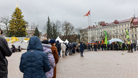 Valstybinių miškų urėdijos miškininkų organizuojama nemokamų eglės šakų dalijimo akcija