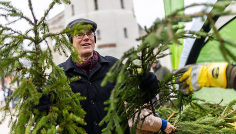 Valstybinių miškų urėdijos miškininkų organizuojama nemokamų eglės šakų dalijimo akcija