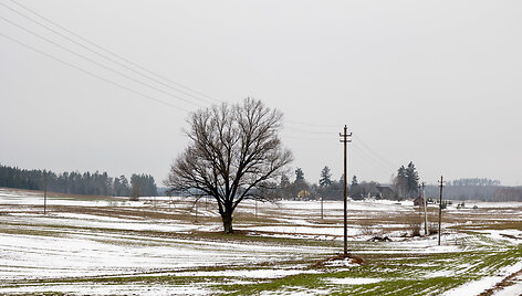 Raitininkų kaimas