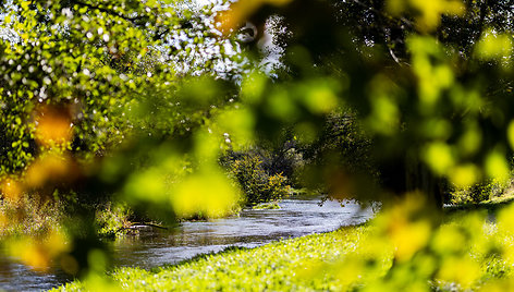 Saulėtas rudens rytas