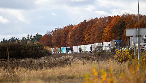 Trakų plente apsivertė BMW