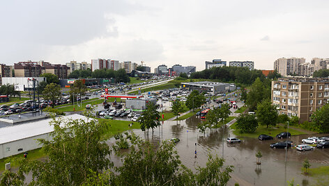 Liūtis Vilniuje