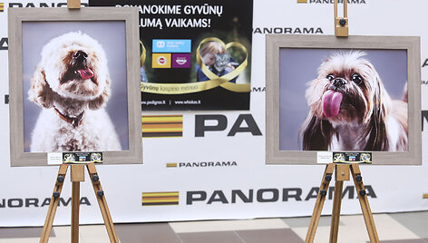 Parodos &bdquo;Laimingas &scaron;uo&ldquo; atidarymas