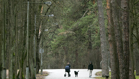Vingio parkas