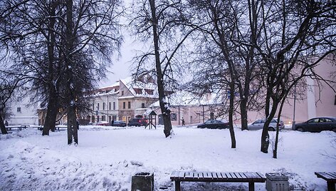 Lazdynų Pelėdos skveras