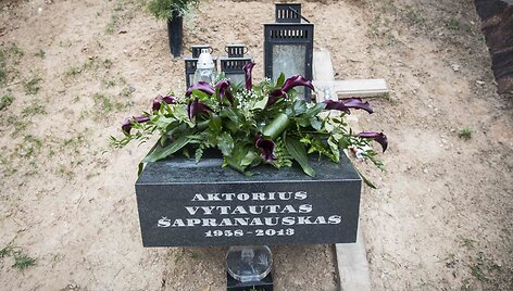 Vytauto &Scaron;apranausko kapas