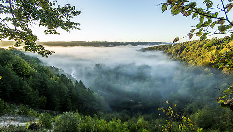 Rūkas apgaubęs Pavilnių regioninį parką