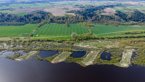 Veliuonos archeologinių piliakalnių kompleksas