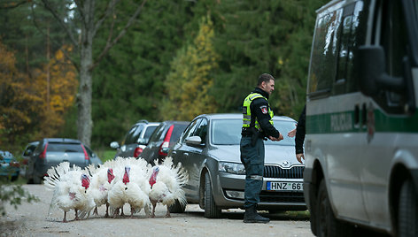 Dingusio baikerio Aivaro Kilkaus paieška