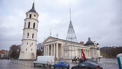 Vilniaus Katedros aikštėje pradėta statyti kalėdinė eglė