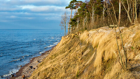 Olandų kepurė