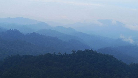 Hercogienės Catherine nuotrauka iš Borneo