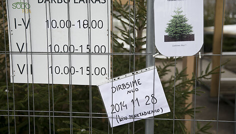 Prekyba eglutėmis