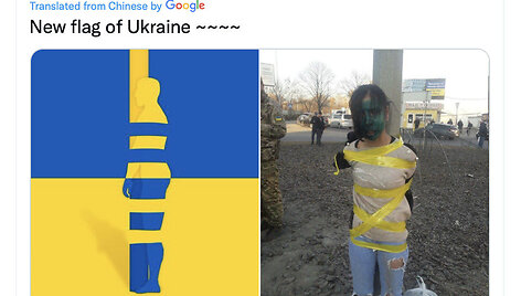 Socialiniuose tinkluose pasirodžiusi &bdquo;nauja&ldquo; Ukrainos vėliava nėra tikra