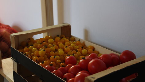 Pomidorai