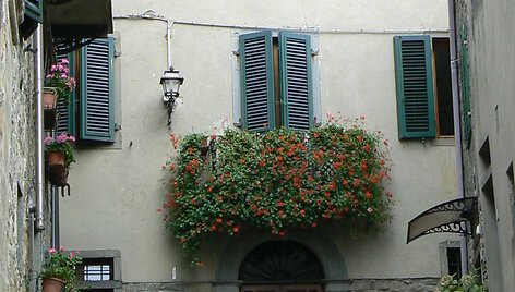 Boveglio