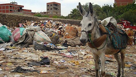 Zabalinai Egipto &bdquo;&Scaron;iuk&scaron;lių mieste&ldquo;