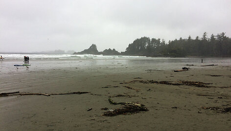 Plaukiojimas banglente lapkritį, Tofino