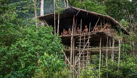Papua sala, Indonezija