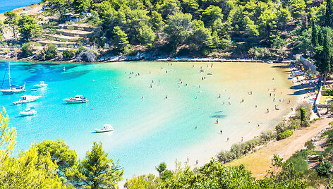 Auksinis ragas, Kroatija