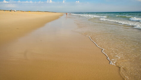 Comporta