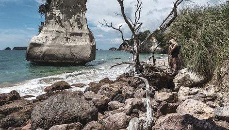 Cathedral Cove