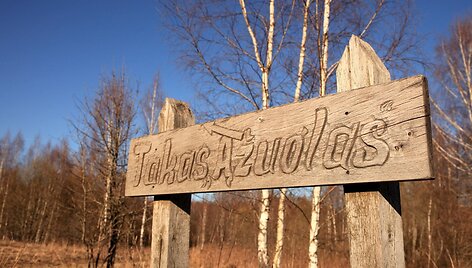 Pažintinis takas &bdquo;Ąžuolas&ldquo;