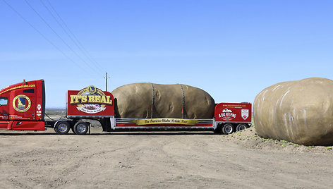 „Big Idaho Potato Hotel“ 