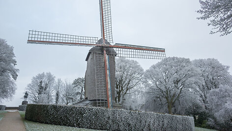 Kaselis (Cassel)