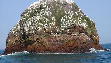 Rockall sala