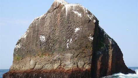 Rockall sala