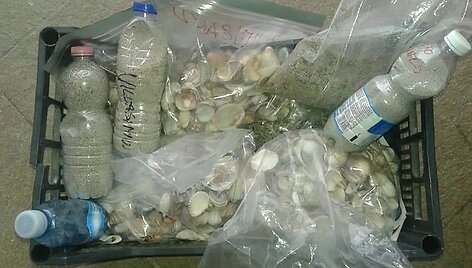 I&scaron; Sardinijos vagiamas smėlis