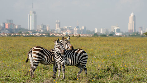 Nairobis, Kenija