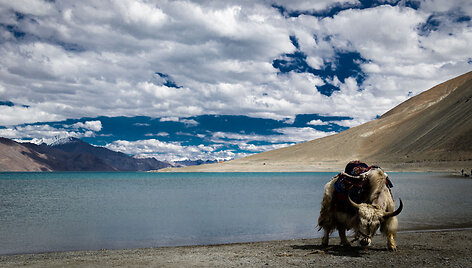 Pangong Lake