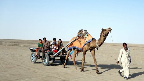 Great Rann of Kutch. Vietinis transportas