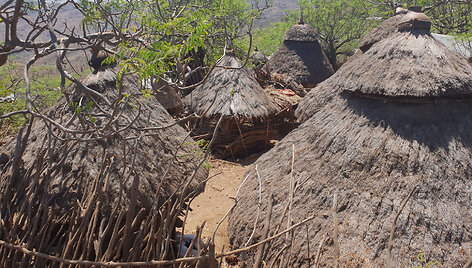 Konso gentis