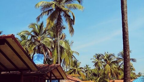 Goa 
