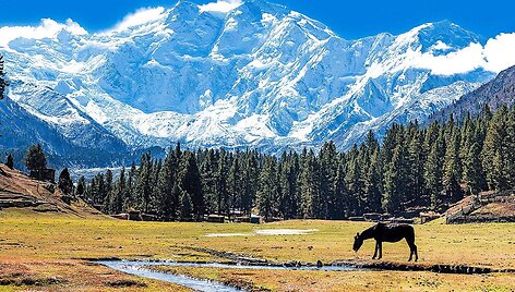 Nanga Parbat