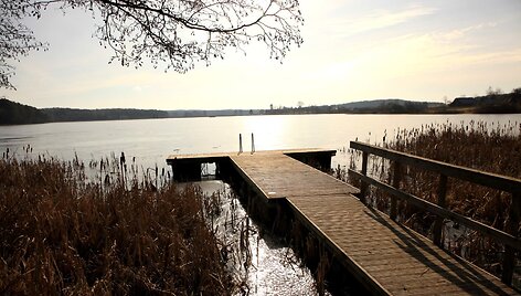 Grybi&scaron;kių ąžuolo pėsčiųjų mar&scaron;rutas