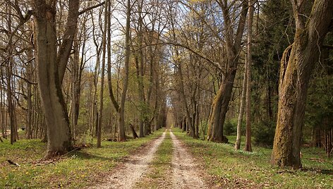 &Scaron;ereiklaukio mi&scaron;ko takas
