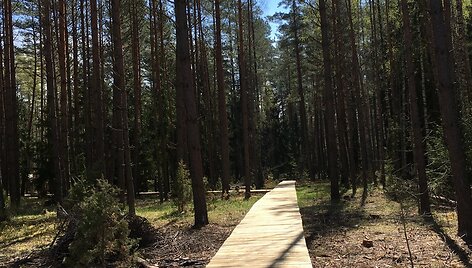 Pasaki&scaron;kių takas