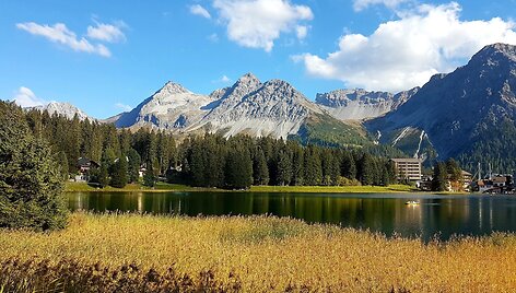 Arosa